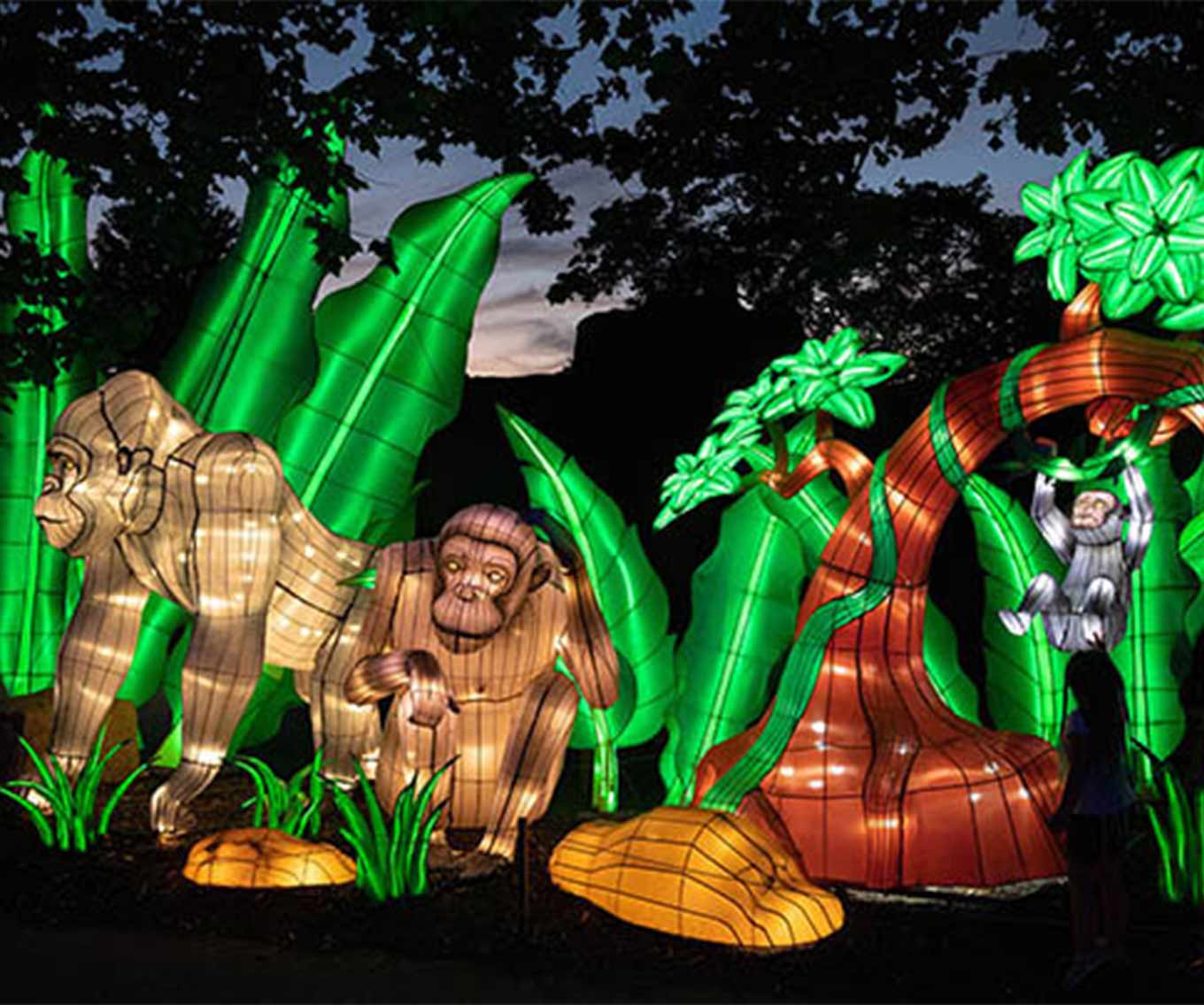 Large scale display at the Cleveland Metroparks Zoo's Asian Lantern Festival