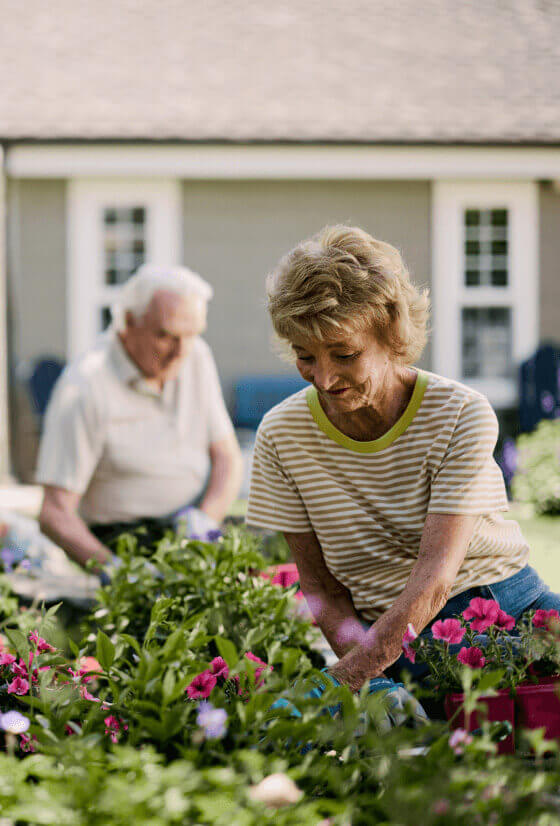 Couple gardening in their yard.