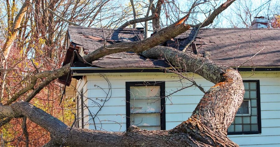 Fallen tree damaging the roof of a house, representing storm-related homeowners insurance claims.