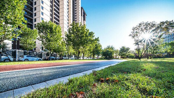 Street view of a residential building with the sun shining through the trees. Lighting the street and the grass by the building.