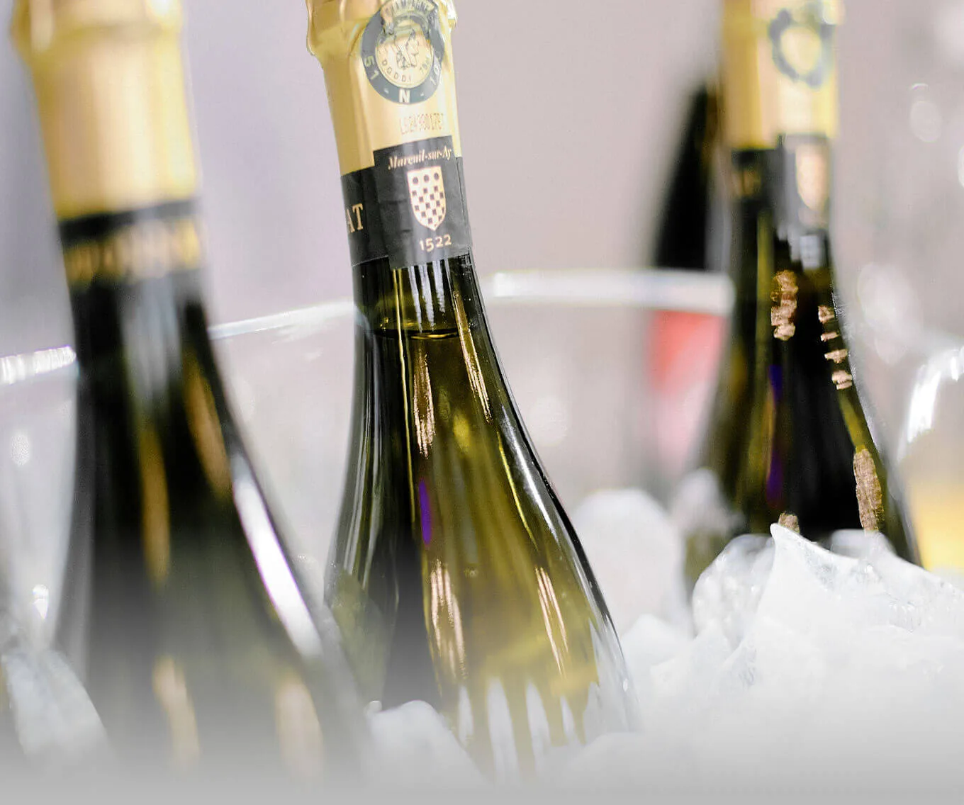 Three champagne bottles on ice.