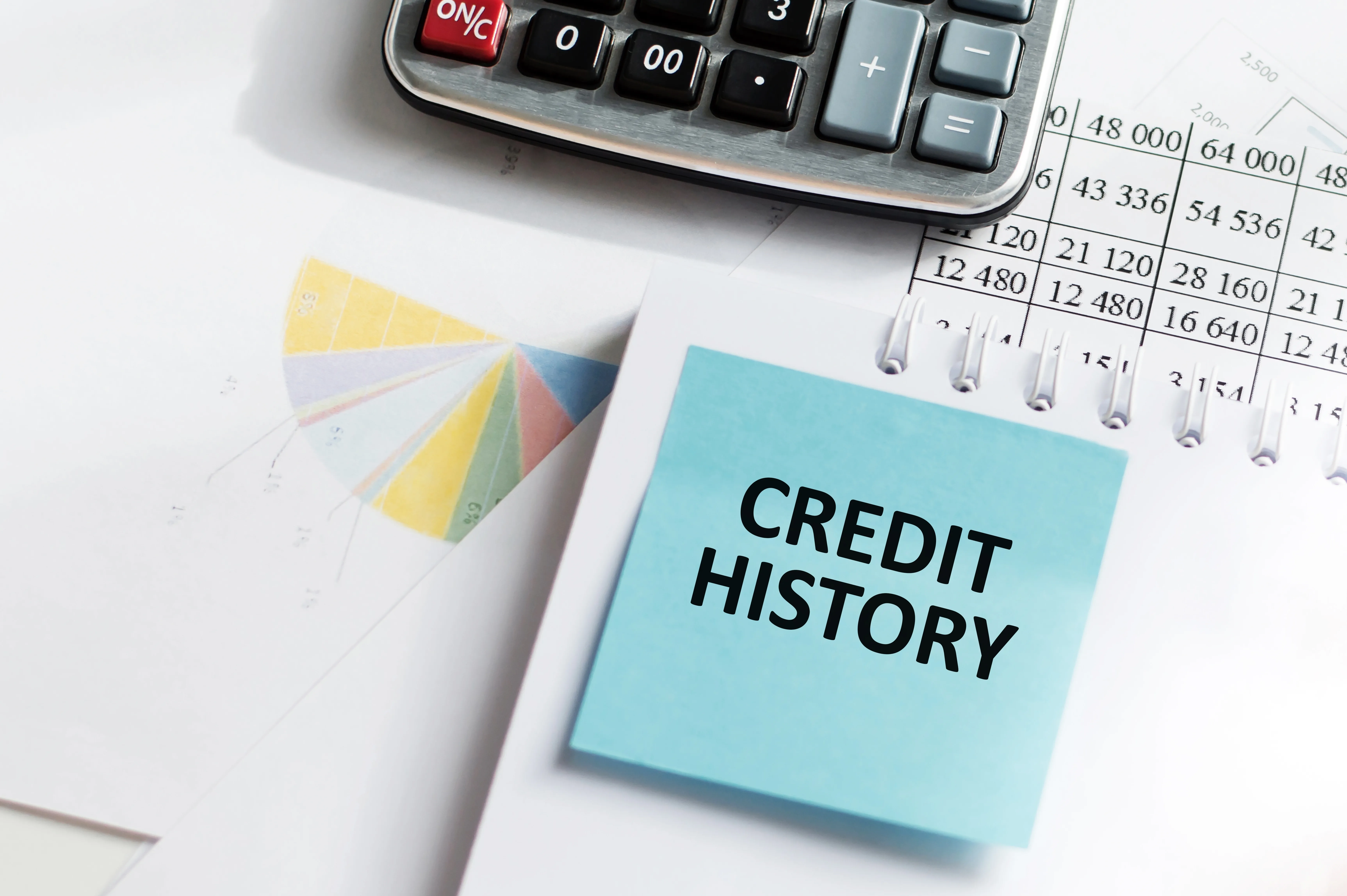 Credit history report for zero interest loan