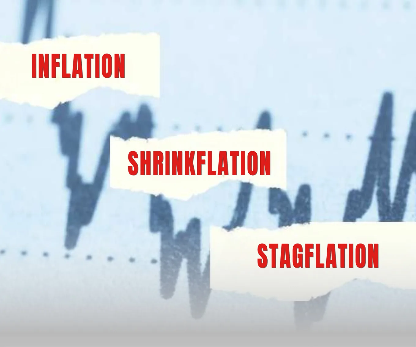 An image of a graph with the words inflation, shrinkflation, and stagflation in front of it